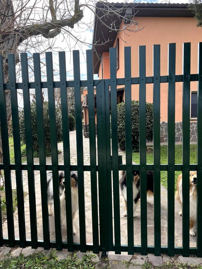 Ferienwohnung Loc.Cioccaie Grosseto Exterior foto